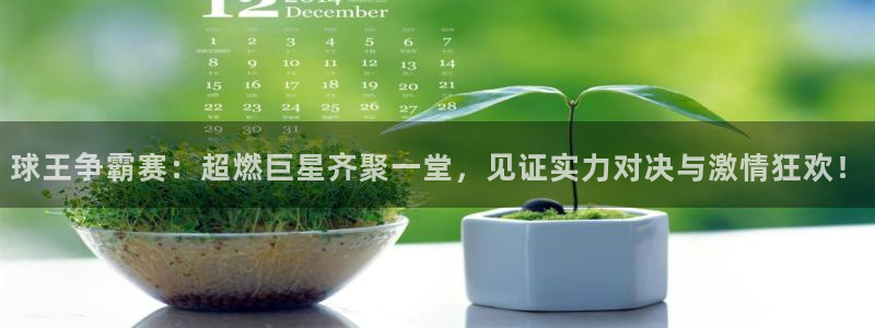 球王争霸赛：超燃巨星齐聚一堂，见证实力对决与激情狂欢！