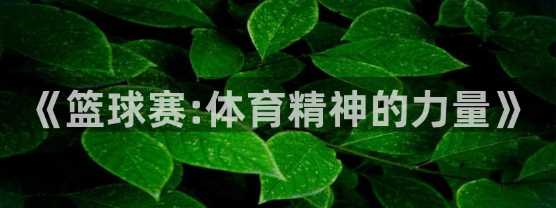 《篮球赛:体育精神的力量》