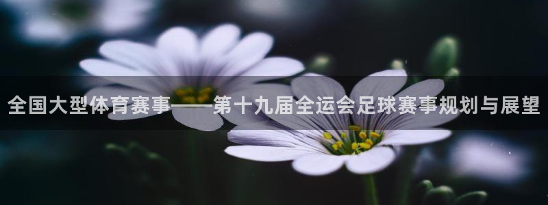 全国大型体育赛事——第十九届全运会足球赛事规划与展望