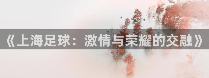 米兰体育报是谁控股：《上海足球：激情与荣耀的交融》