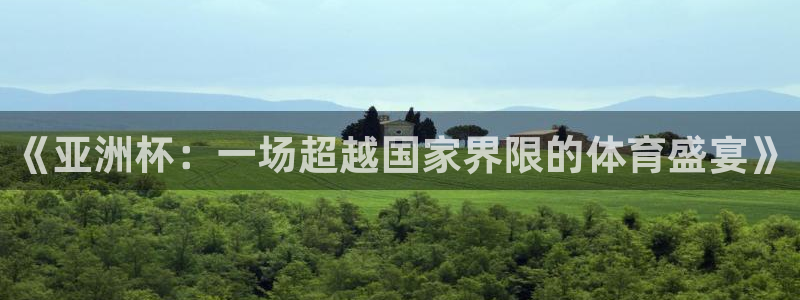 米兰体育场英文怎么说：《亚洲杯：一场超越国家界限的体育盛宴》