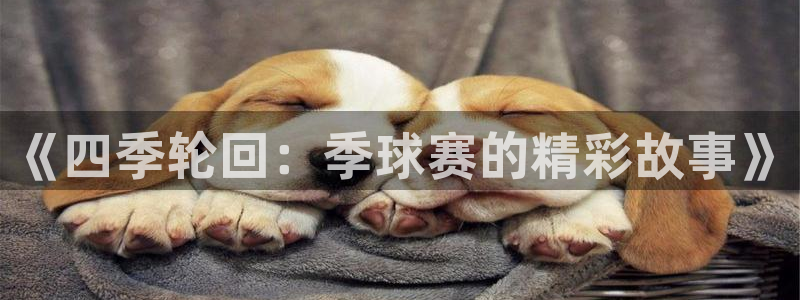 米兰体育馆：《四季轮回：季球赛的精彩故事》