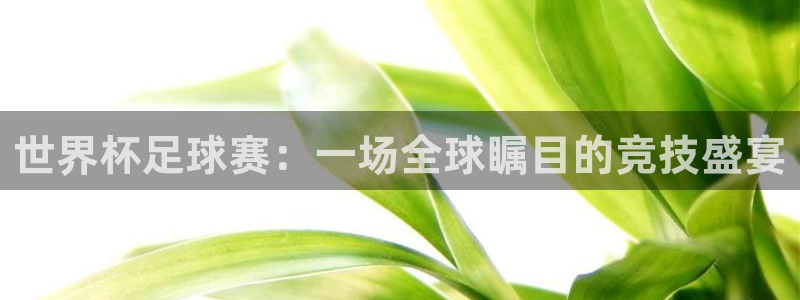 米兰体育网址：世界杯足球赛：一场全球瞩目的竞技盛宴